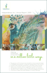 2021 Annual Report Cover