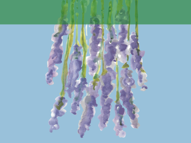 watercolor painting of lavender long-stem flower bouquet pictured upside down as if hanging