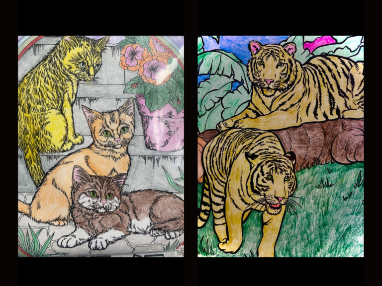 a collage of two color pages. One with three kittens lying on concrete steps with flower pots and a rainbow. The other with two tigers in a jungle setting.