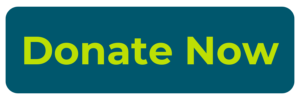 button with a dark blue background and bright green text that reads "Donate Now"