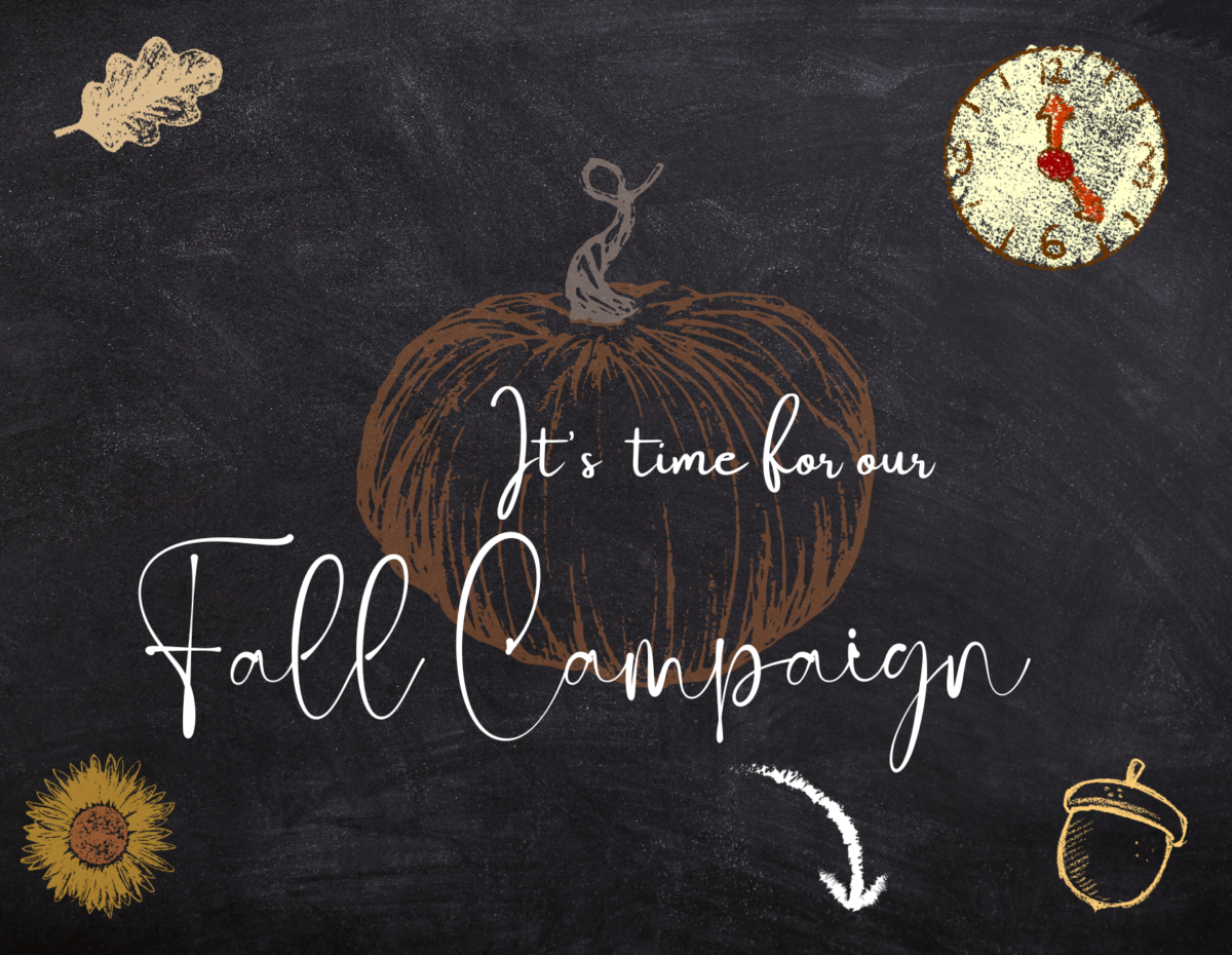 chalkboard background with images of various fall style icons and images and text that reads It's time for our Fall Campaign