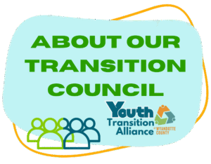 infographic with bright aqua blue background and text that reads "About our transition council"